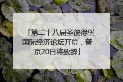 第二十八届圣彼得堡国际经济论坛开幕，普京20日将致辞