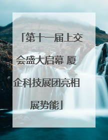 第十一届上交会盛大启幕 厦企科技展团亮相展势能