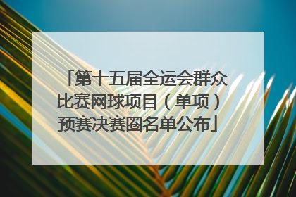 第十五届全运会群众比赛网球项目（单项）预赛决赛圈名单公布
