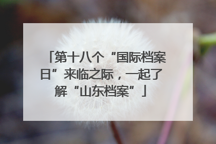 第十八个“国际档案日”来临之际，一起了解“山东档案”