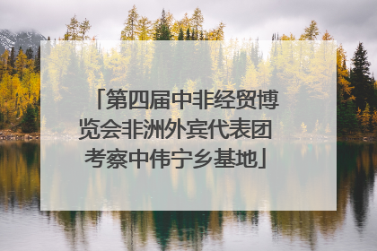第四届中非经贸博览会非洲外宾代表团考察中伟宁乡基地