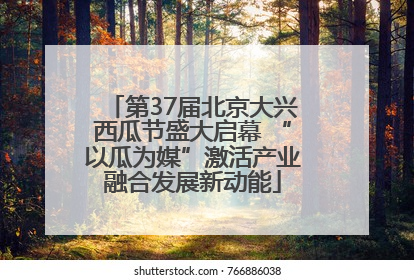 第37届北京大兴西瓜节盛大启幕 “以瓜为媒”激活产业融合发展新动能