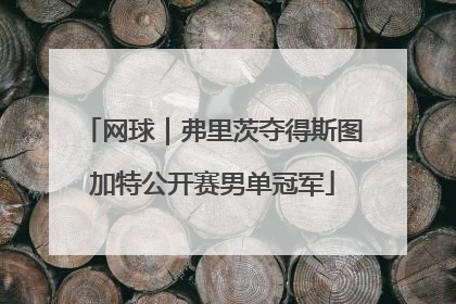 网球｜弗里茨夺得斯图加特公开赛男单冠军