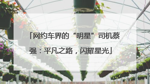 网约车界的“明星”司机蔡强：平凡之路，闪耀星光