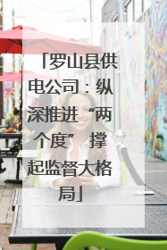 罗山县供电公司：纵深推进“两个度” 撑起监督大格局