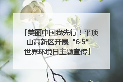 美丽中国我先行！平顶山高新区开展“6·5”世界环境日主题宣传