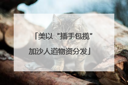 美以“插手包揽”加沙人道物资分发