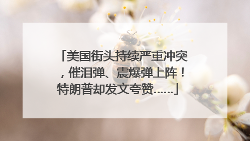 美国街头持续严重冲突，催泪弹、震爆弹上阵！特朗普却发文夸赞……