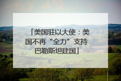 美国驻以大使：美国不再“全力”支持巴勒斯坦建国