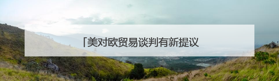 美对欧贸易谈判有新提议 欧盟：做好两手准备