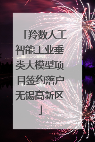 羚数人工智能工业垂类大模型项目签约落户无锡高新区