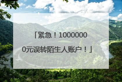 紧急！10000000元误转陌生人账户！