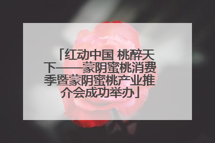 红动中国 桃醉天下——蒙阴蜜桃消费季暨蒙阴蜜桃产业推介会成功举办