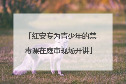 红安专为青少年的禁毒课在庭审现场开讲