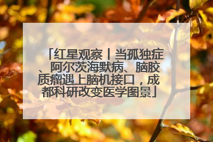 红星观察丨当孤独症、阿尔茨海默病、脑胶质瘤遇上脑机接口，成都科研改变医学图景