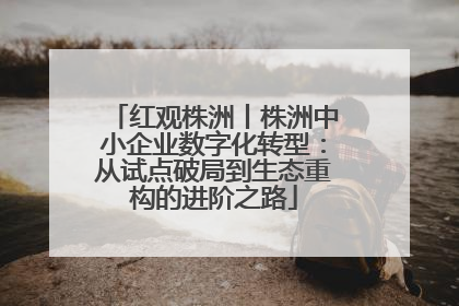 红观株洲丨株洲中小企业数字化转型：从试点破局到生态重构的进阶之路