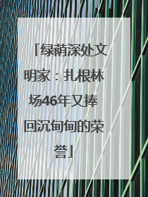 绿荫深处文明家：扎根林场46年又捧回沉甸甸的荣誉