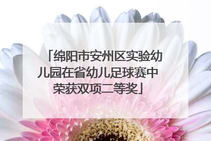 绵阳市安州区实验幼儿园在省幼儿足球赛中荣获双项二等奖