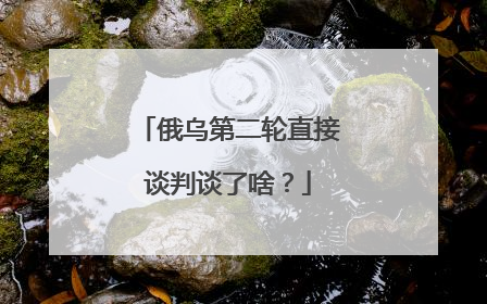 俄乌第二轮直接谈判谈了啥？