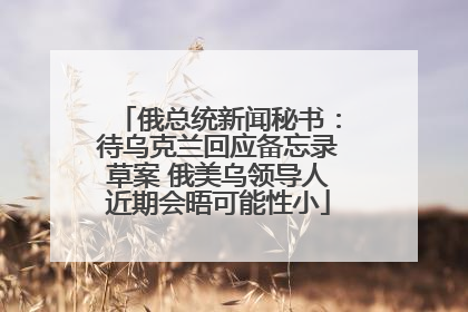 俄总统新闻秘书：待乌克兰回应备忘录草案 俄美乌领导人近期会晤可能性小