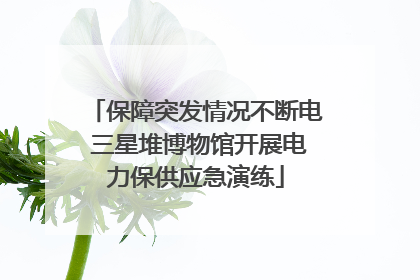 保障突发情况不断电 三星堆博物馆开展电力保供应急演练