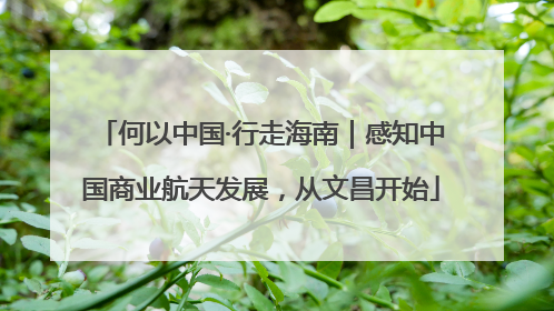 何以中国·行走海南｜感知中国商业航天发展，从文昌开始