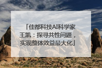 佳都科技AI科学家王凯：探寻共性问题，实现整体效益最大化