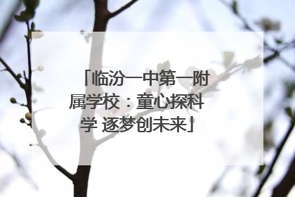 临汾一中第一附属学校：童心探科学 逐梦创未来