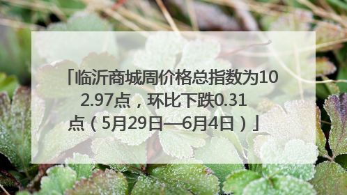 临沂商城周价格总指数为102.97点，环比下跌0.31点（5月29日—6月4日）