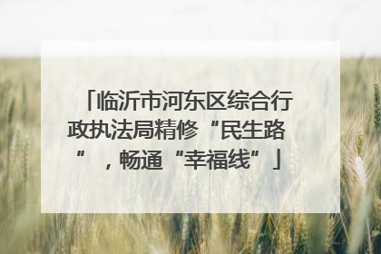 临沂市河东区综合行政执法局精修“民生路”，畅通“幸福线”