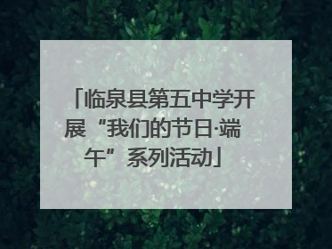 临泉县第五中学开展“我们的节日·端午”系列活动