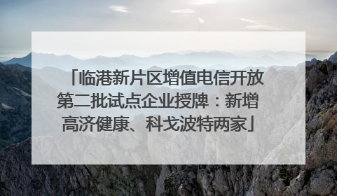 临港新片区增值电信开放第二批试点企业授牌：新增高济健康、科戈波特两家