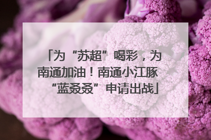 为“苏超”喝彩，为南通加油！南通小江豚“蓝叒叒”申请出战