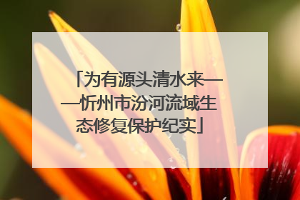 为有源头清水来——忻州市汾河流域生态修复保护纪实