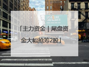 主力资金｜尾盘资金大幅抢筹2股