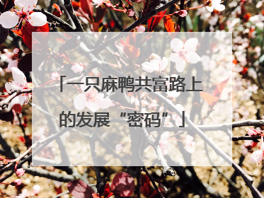 一只麻鸭共富路上的发展“密码”