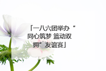 一八六团举办“同心筑梦 篮动双拥”友谊赛