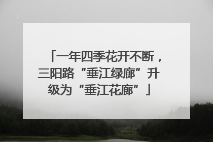 一年四季花开不断，三阳路“垂江绿廊”升级为“垂江花廊”