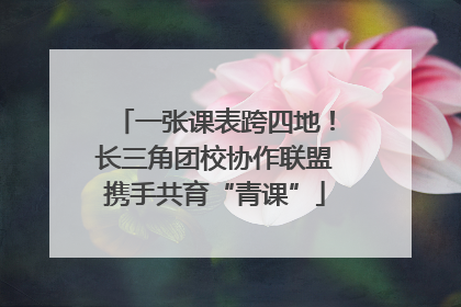 一张课表跨四地！长三角团校协作联盟携手共育“青课”