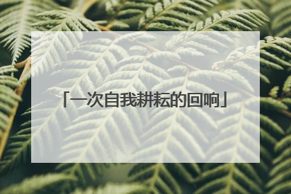 一次自我耕耘的回响