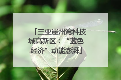 三亚崖州湾科技城高新区：“蓝色经济”动能澎湃