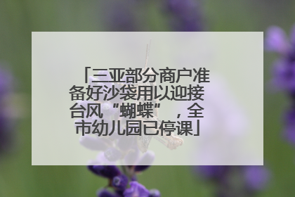 三亚部分商户准备好沙袋用以迎接台风“蝴蝶”，全市幼儿园已停课