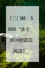 三门峡：5000“泳士”黄河碧波竞风流
