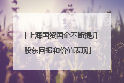 上海国资国企不断提升股东回报和价值表现