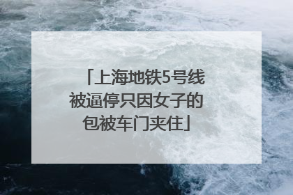 上海地铁5号线被逼停只因女子的包被车门夹住