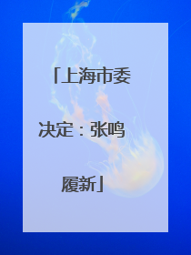 上海市委决定：张鸣履新