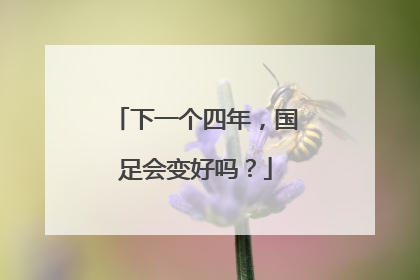 下一个四年，国足会变好吗？