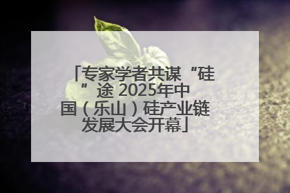 专家学者共谋“硅”途 2025年中国（乐山）硅产业链发展大会开幕