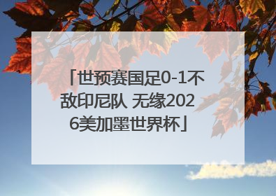 世预赛国足0-1不敌印尼队 无缘2026美加墨世界杯