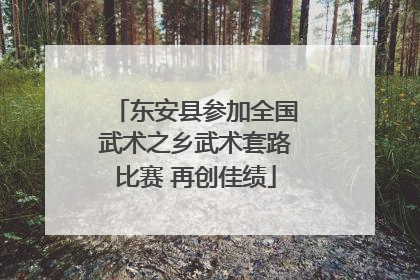 东安县参加全国武术之乡武术套路比赛 再创佳绩